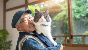 ペットを飼いたくても飼えない方のための選択肢ガイド