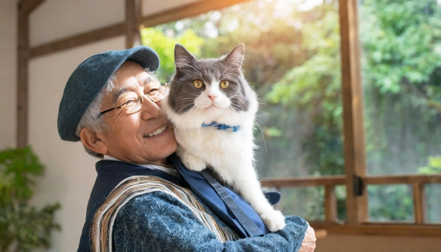 ペットを飼いたくても飼えない方のための選択肢ガイド
