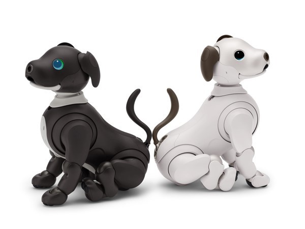 aibo(アイボ)　商品画像