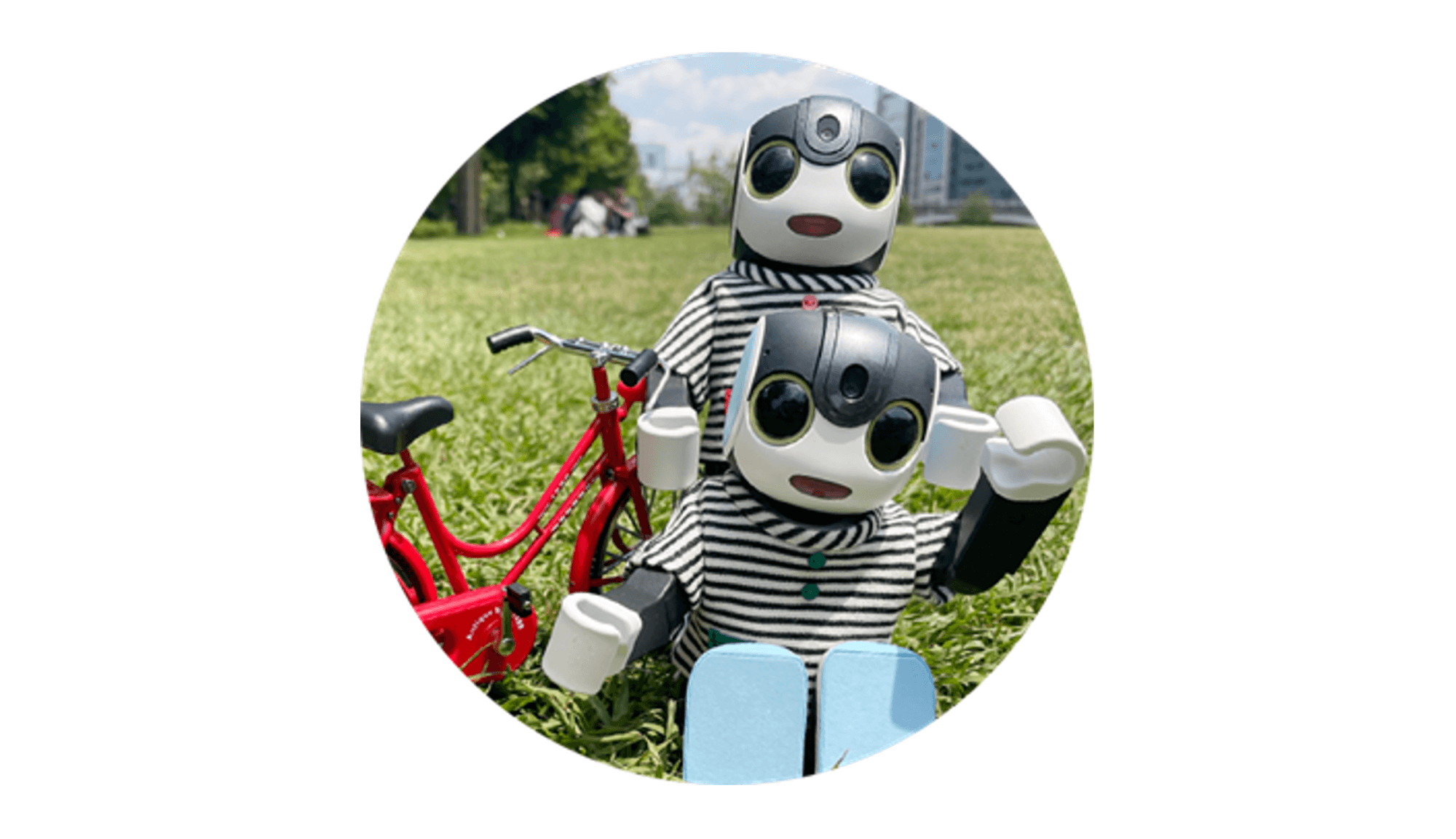 家庭で楽しむおしゃべりロボットの選び方