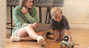 コミュニケーションロボットとおもちゃロボットの種類とその違いとは？